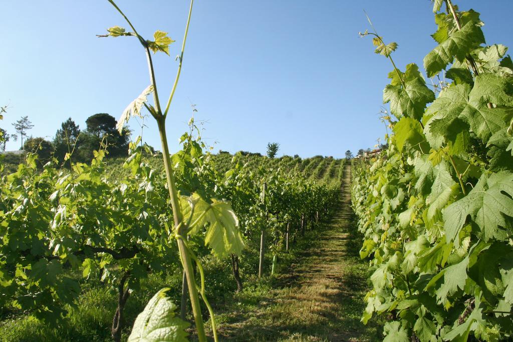 Casa di campagna Quinta De Lourosa Lousada