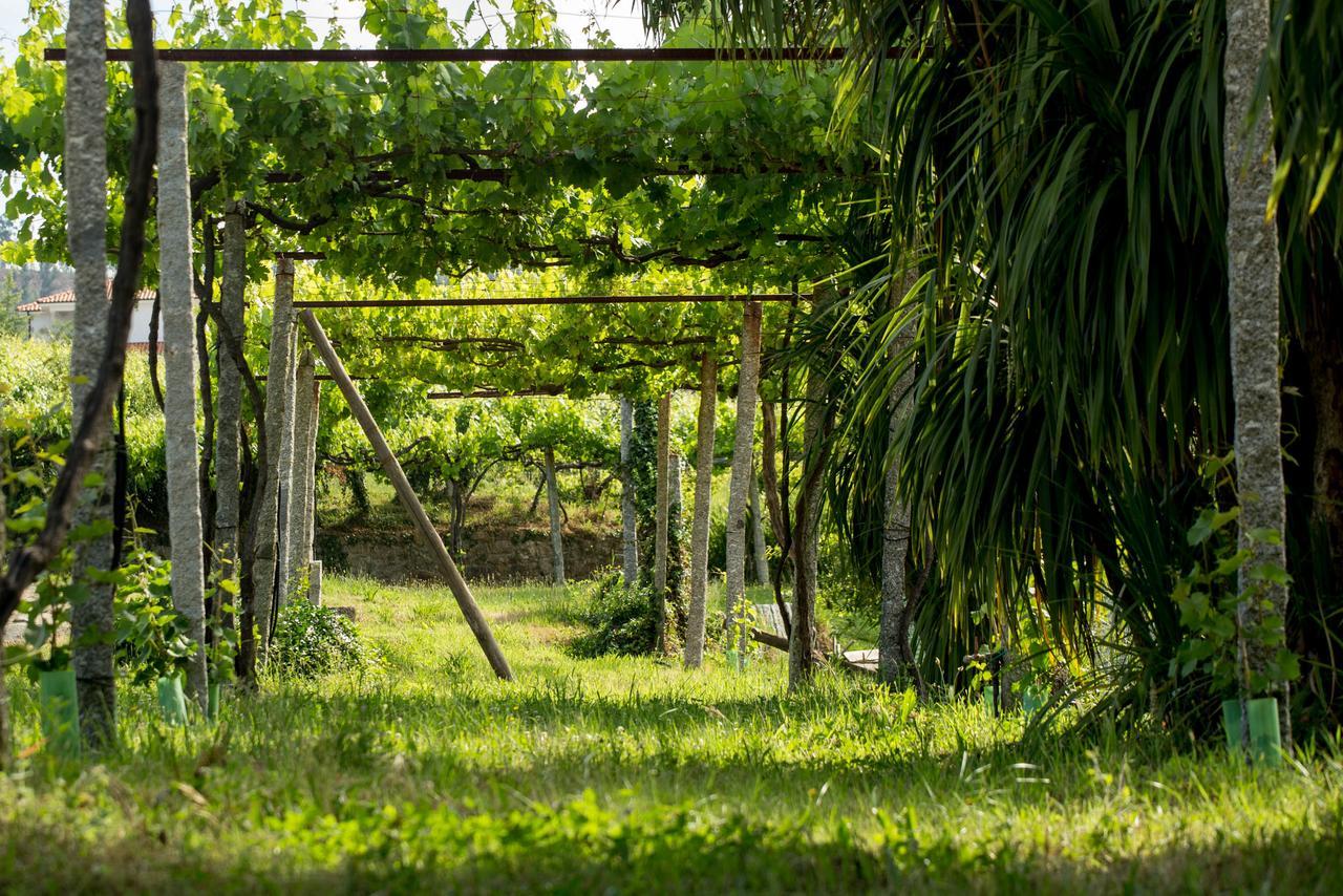 Casa di campagna Quinta De Lourosa